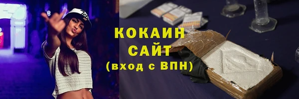 ПСИЛОЦИБИНОВЫЕ ГРИБЫ Абаза