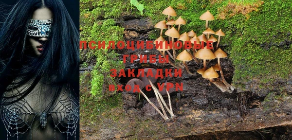 метадон Абдулино