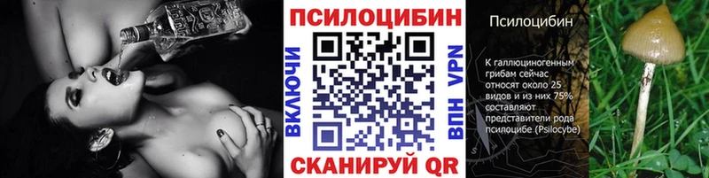как найти   Мантурово  Псилоцибиновые грибы прущие грибы 